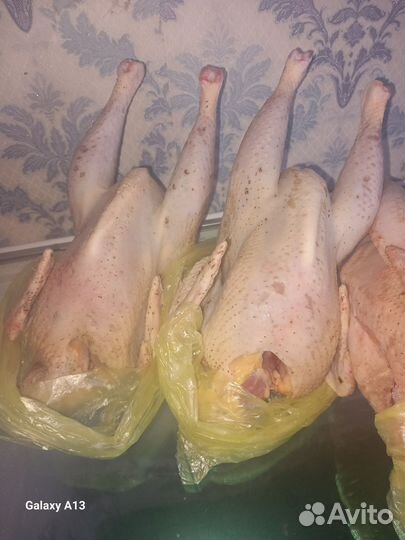 Мясо домашней птицы