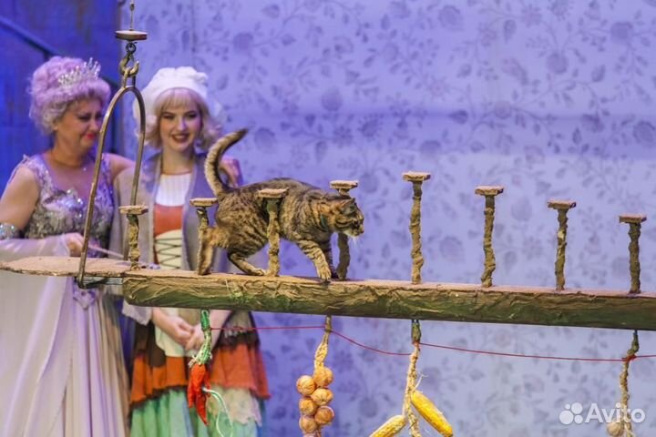 2 билета в Уголок Дедушки Дурова, 10.05