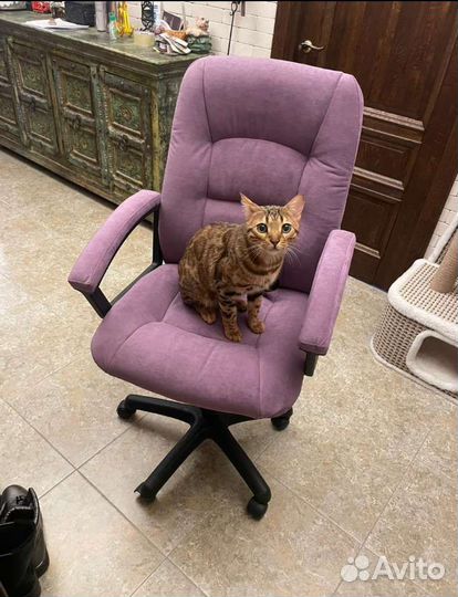 Перетяжка мебели