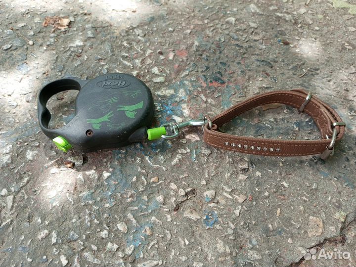 Ошейник + поводок для небольшой собаки