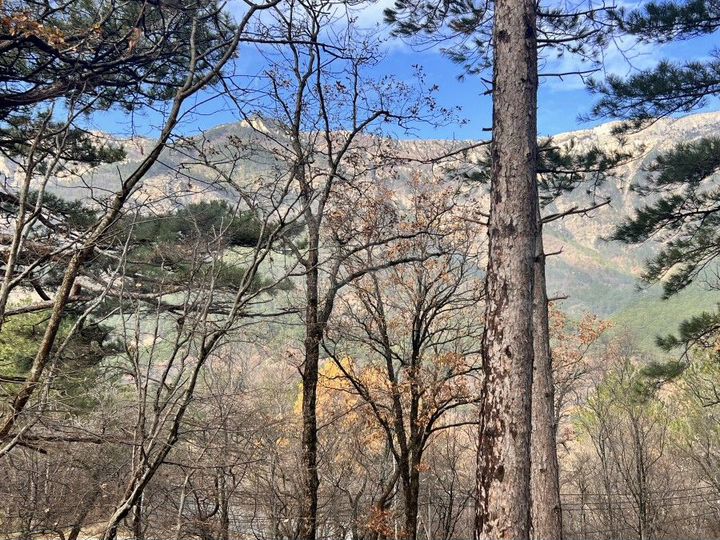 Участок 6 сот. (ИЖС)