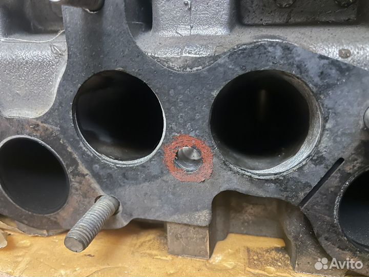 Спорт гбц ваз Торг Маш