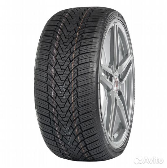 Arivo Winmaster ProX ARW3 195/50 R15 82V