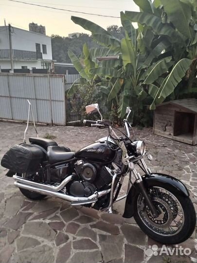 Yamaha xvs1100 (drag star)
