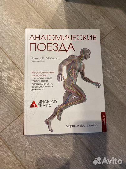 Томас Майерс Анатомические поезда Анатомия Неттера
