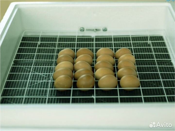 Инкубатор новый