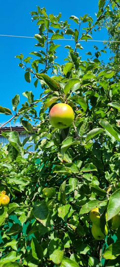 Дом 85 м² на участке 14 сот.