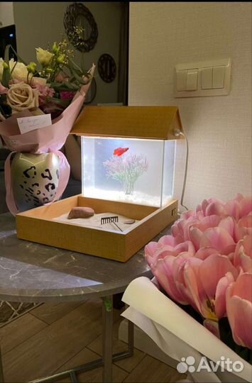 Аквариум для рыбки петушка