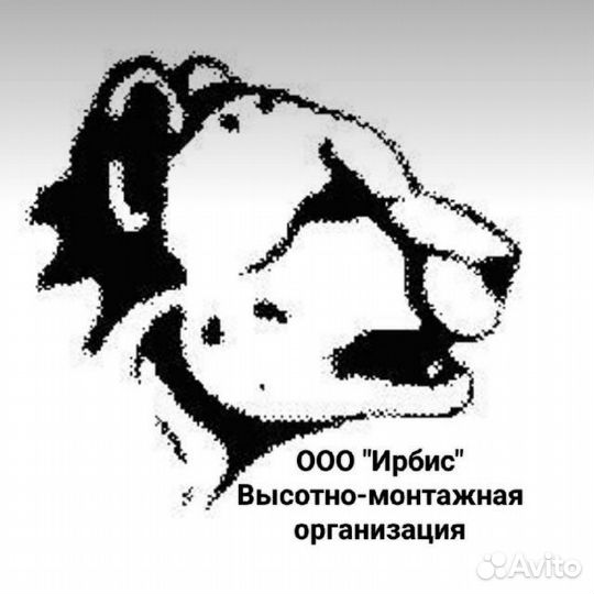 Разнорабочий/Водитель на газели