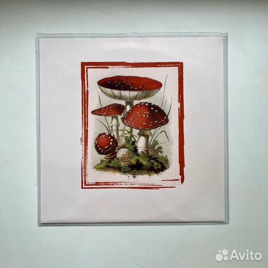 Mushroom Village / Mushroom Grandpa