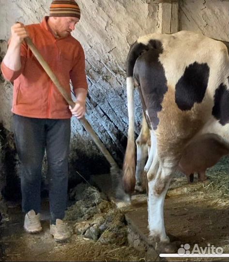 Масло сливочное домашнее