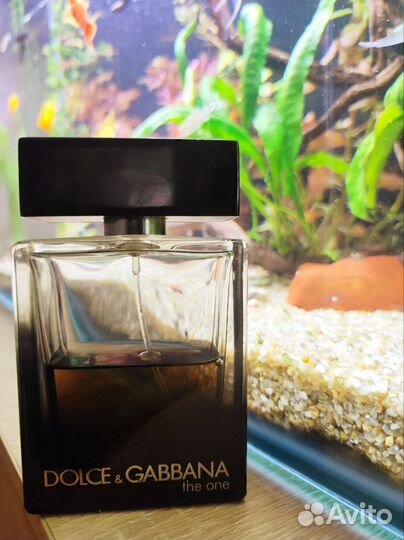 Parfum Dolce Gabbana the one
