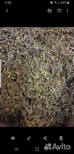 Саган дайля