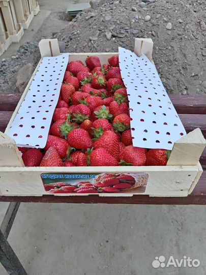 Свежая клубника из киргизии