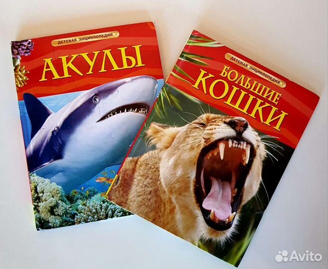 Книги, школьные книги