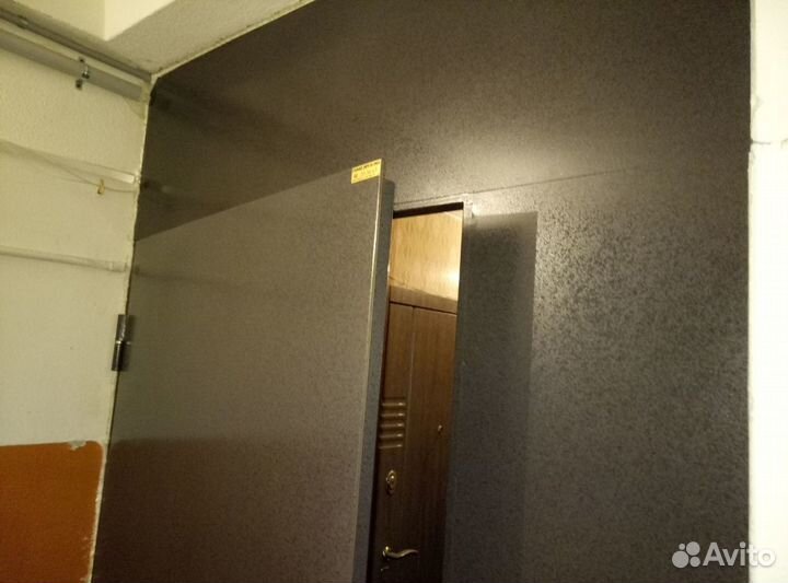 Дверь нового поколения, (краска под порошок)