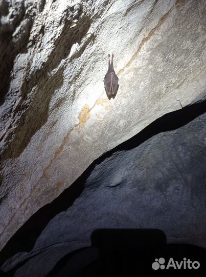 Прохождение Мисхорских гротов на Ай-Петри