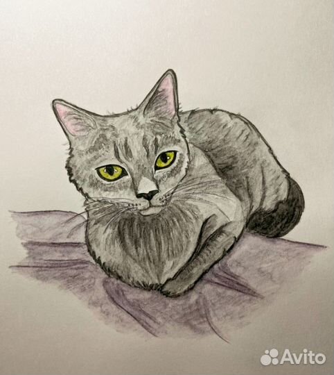 Рисую ваших питомцев