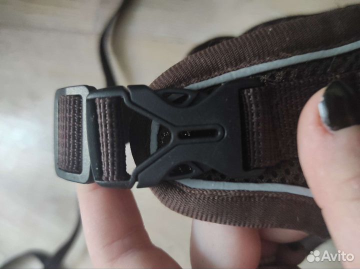 Шлейка для собак, прогулочная