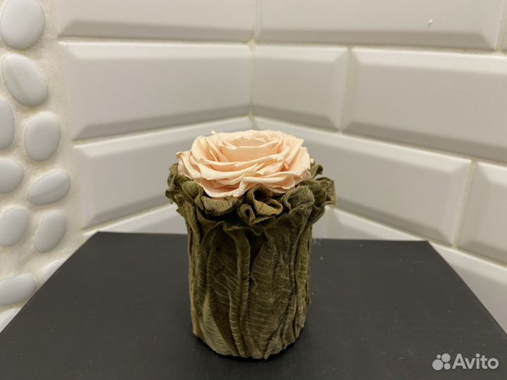 Стабилизированные букеты Vermont