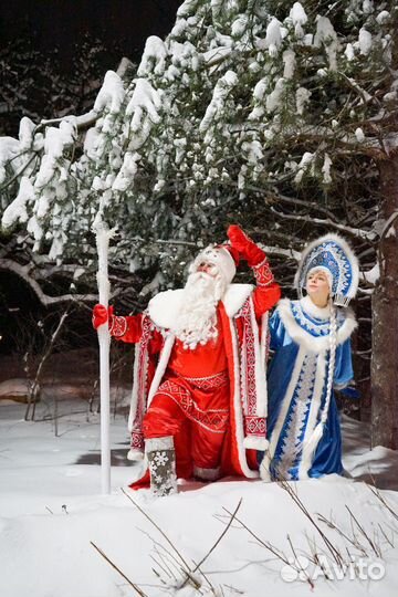 Настоящий VIP Дед Мороз и снегурочка