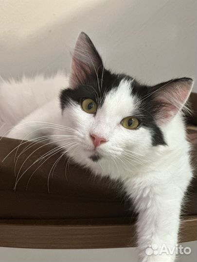 Родион 4 мес