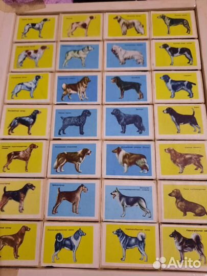 Коллеционная этикетка