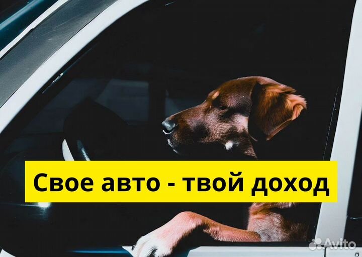 Яндекс.GO: присоединяйся на своем авто