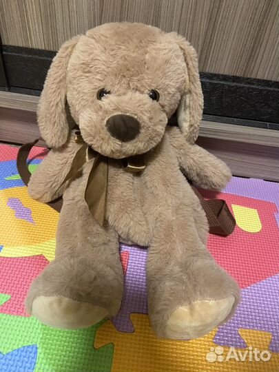 Собака рюкзак