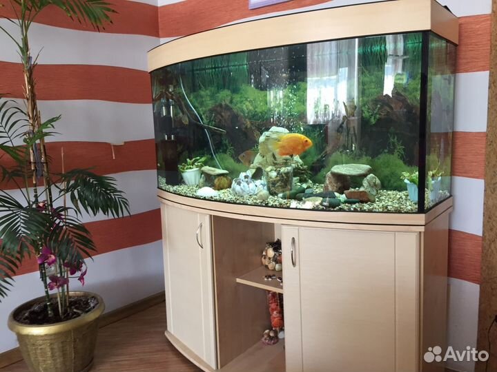 Продам аквариум 300 литров