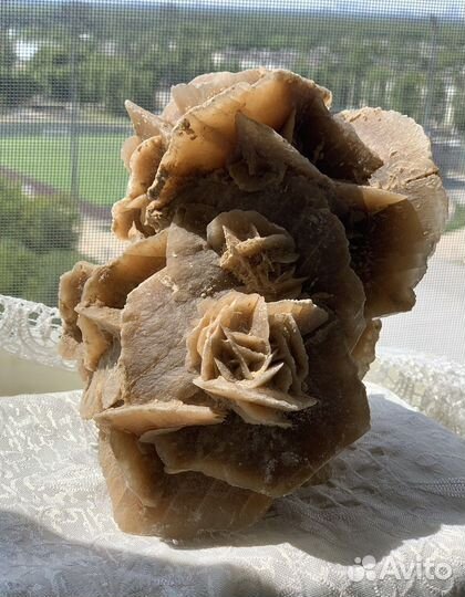 Минерал- роза пустыни. Большая