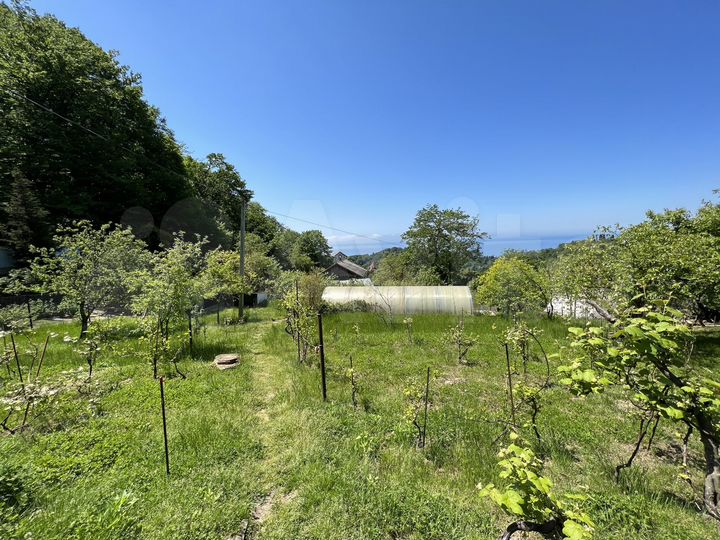 Участок 6 сот. (СНТ, ДНП)