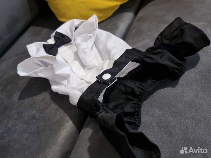 Костюм для кошки/собачки