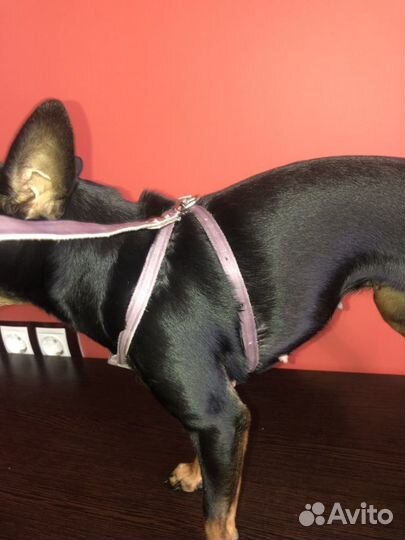 Поводок кожаный