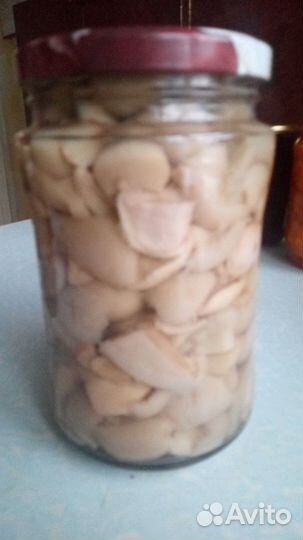 Домашние соленья, заготовки