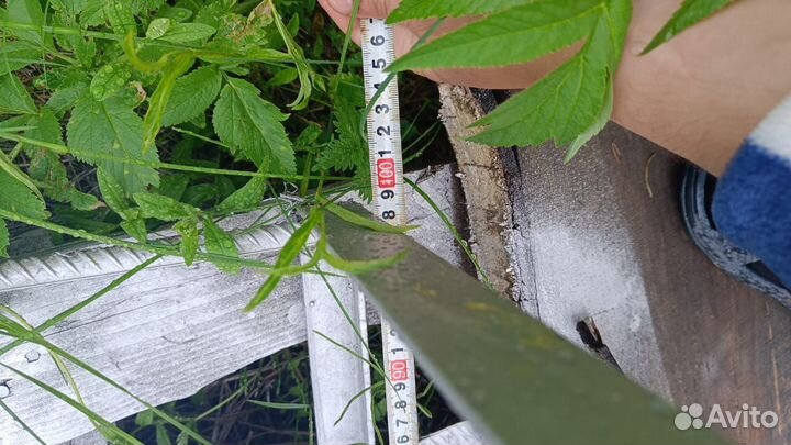 Эстакада для авто