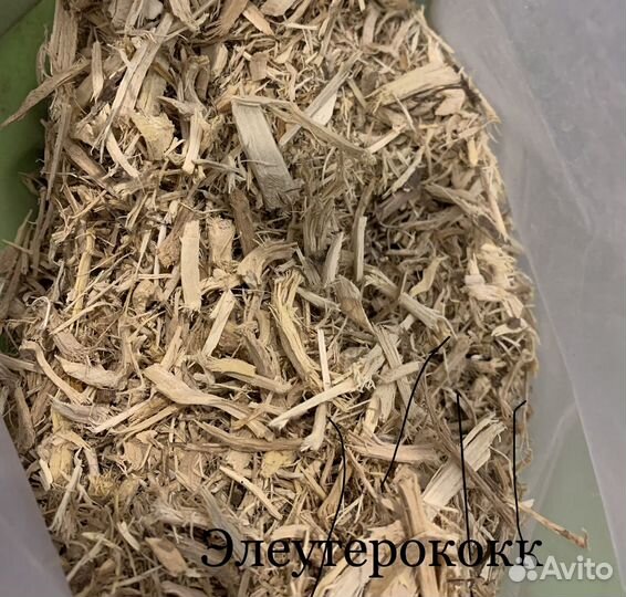 Корень кровохлебки, кукольника