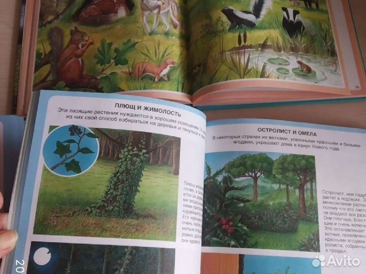 Энциклопедия для детей