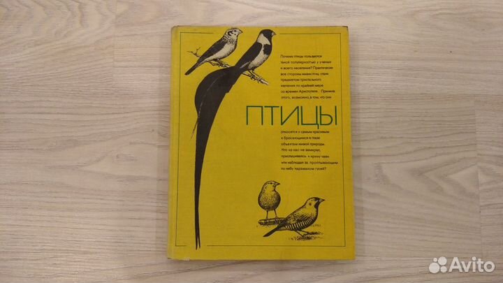 Детские книги и книги для школьников