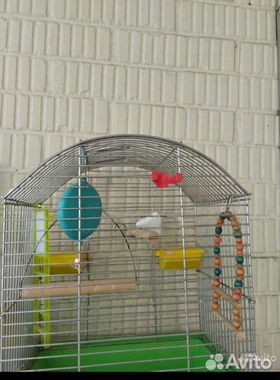 Клетка для попугая