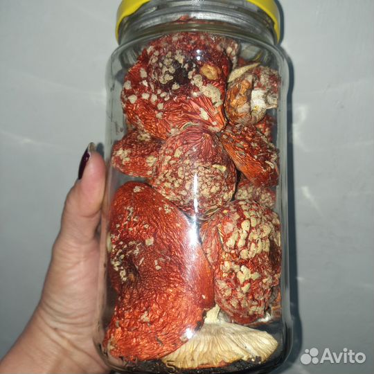 Грибы сухие