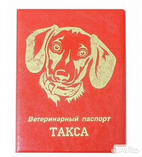 Ветеринарный паспорт обложка хаски корги