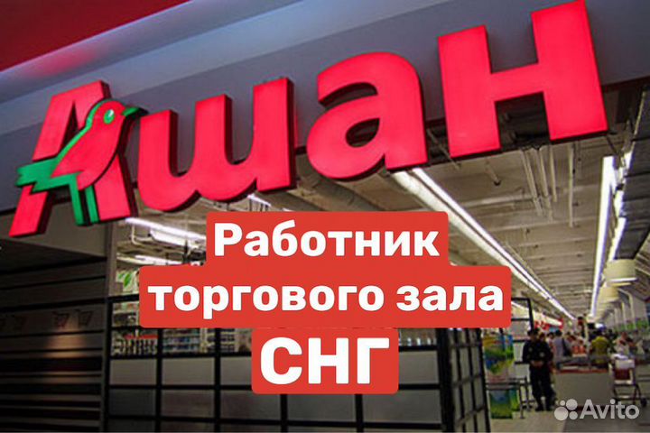 Мерчендайзер в продуктовом магазине (снг, РФ)