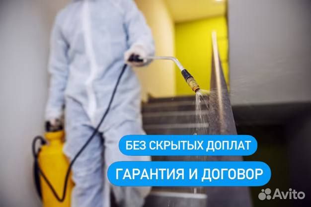 Уничтожение насекомых, тараканов и клопов