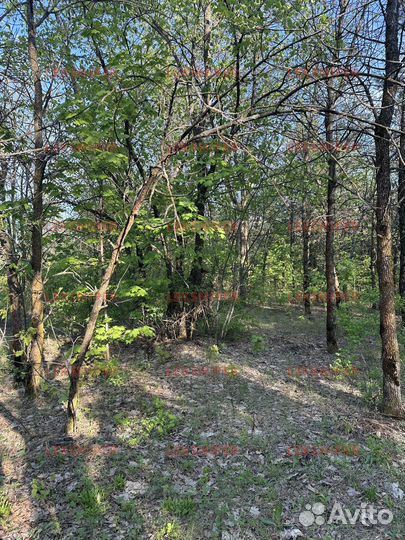 Костюм маскировочный 