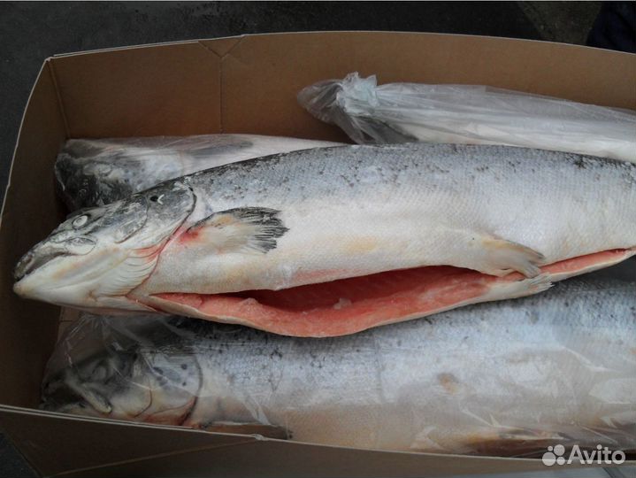 Заморозка Рыба, Ягоды, Масло, Индейка