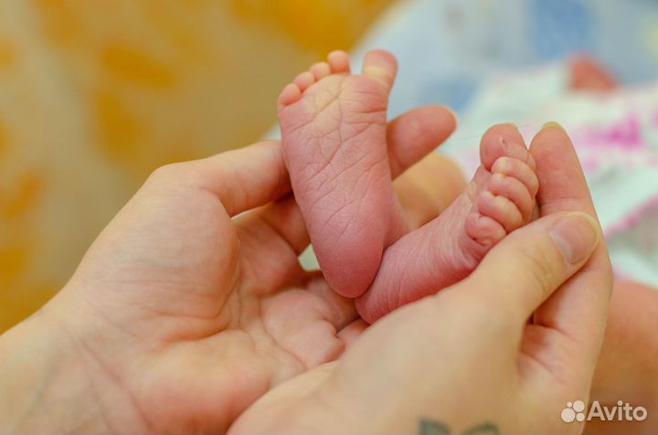 Фотограф на выписку из роддома + видео