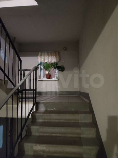 3-к. квартира, 76,5 м², 3/5 эт.