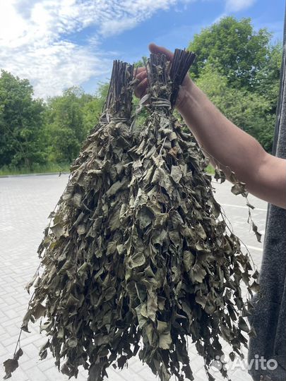 Веники для бани дуб береза