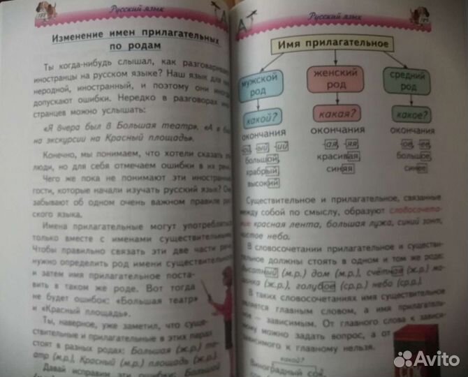 Большая энциклопедия начальной школы. Новая